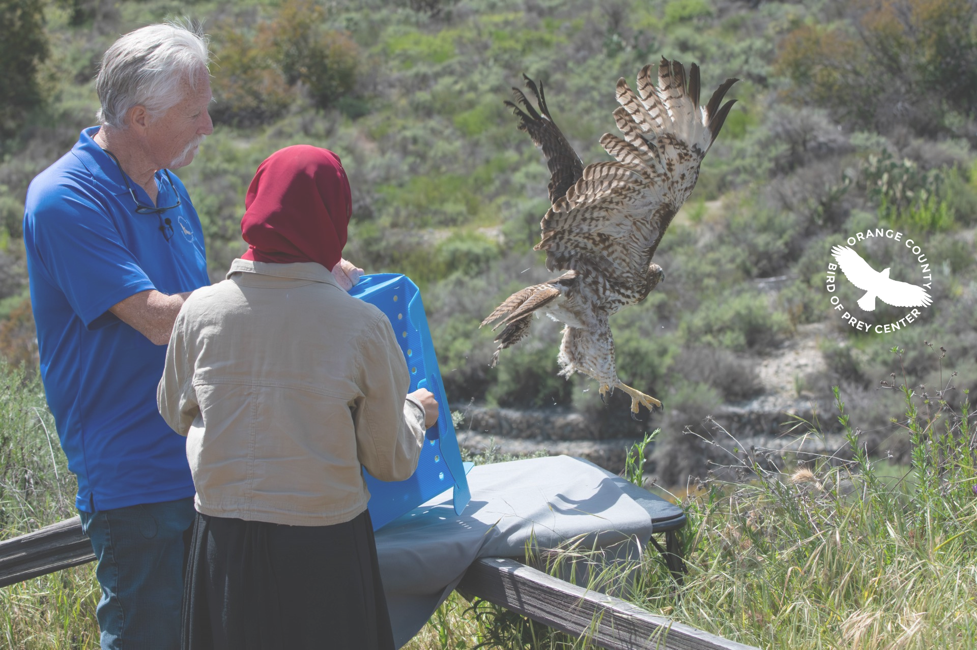 OC Bird of Prey Center Helps Give Injured Birds a Second Chance to Soar